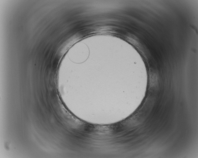 X0000099951338200805230952