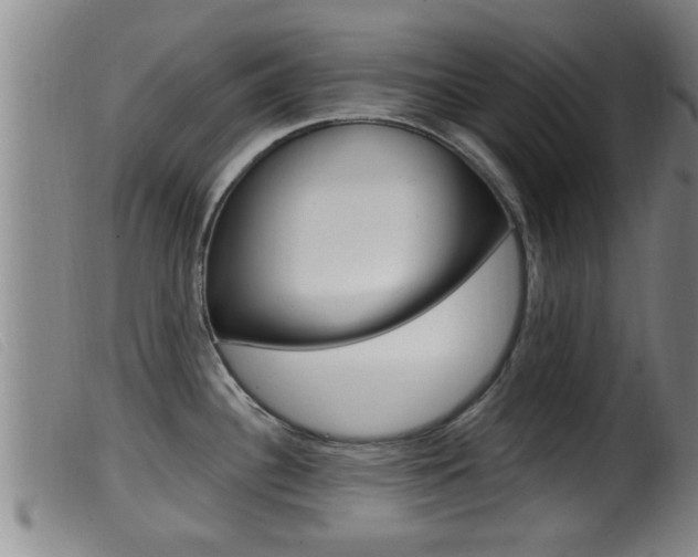 X0000099951340200805230952