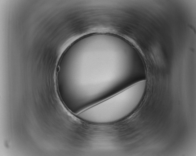 X0000099951343200805230952