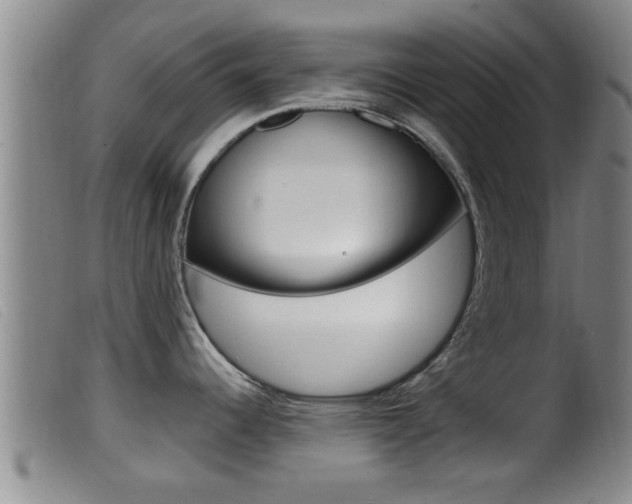 X0000099951344200805230952