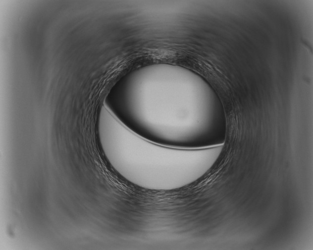 X0000099951345200805230952