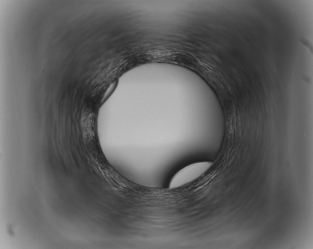 X0000099951346200805230952