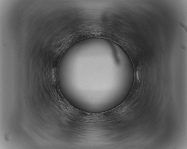 X0000099951347200805230952