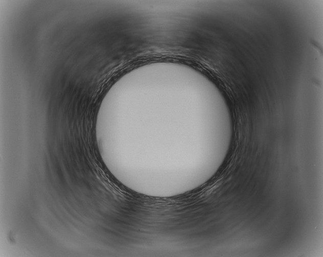 X0000099951348200805230952