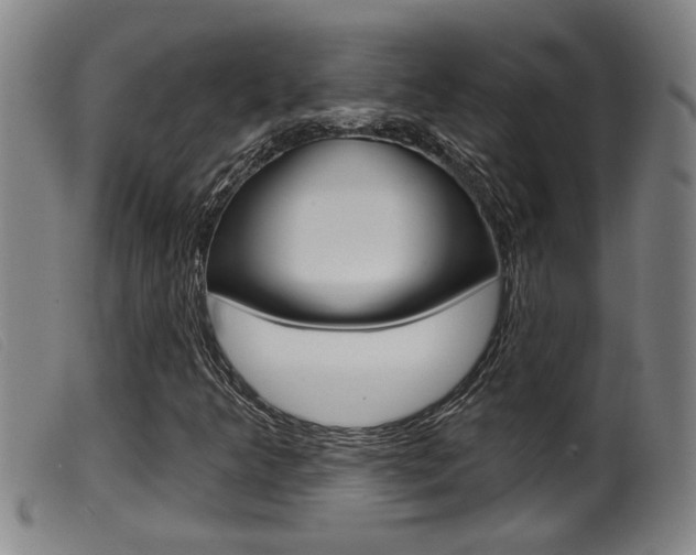 X0000099951349200805230952