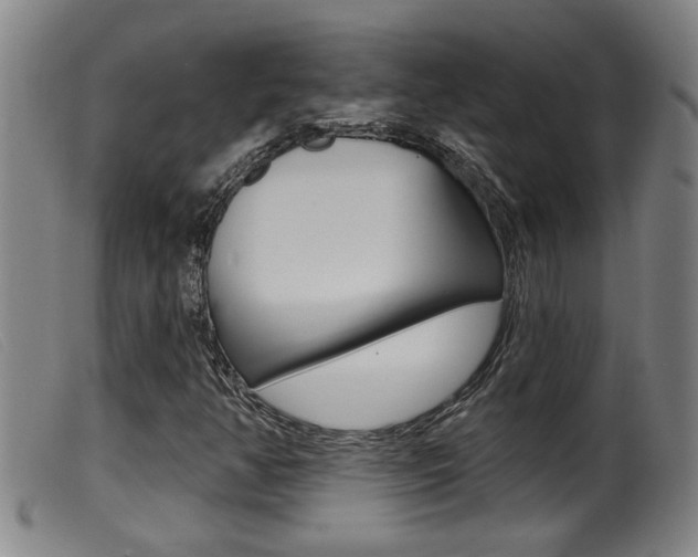 X0000099951350200805230952