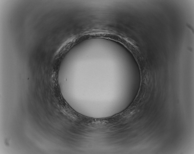 X0000099951351200805230952