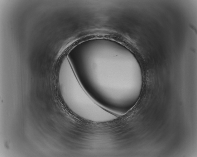 X0000099951352200805230952