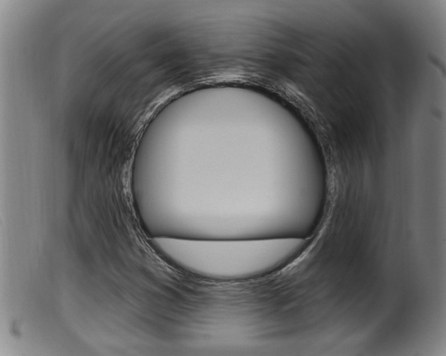 X0000099951353200805230952