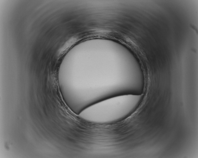 X0000099951354200805230952