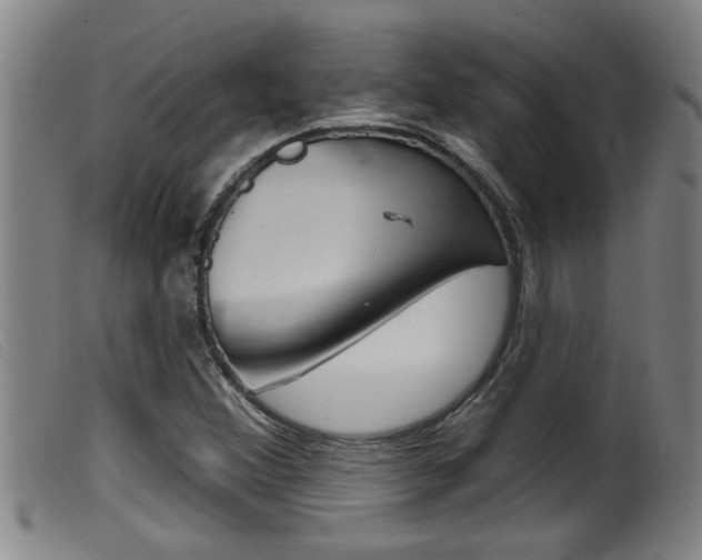X0000099951356200805230951