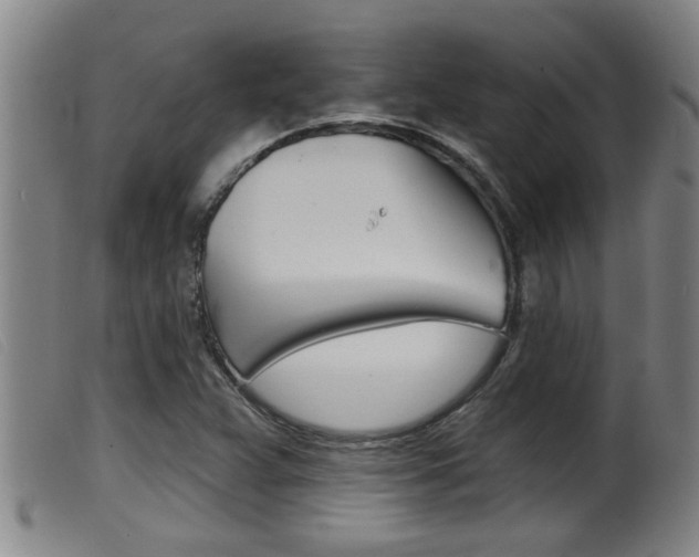 X0000099951359200805230951