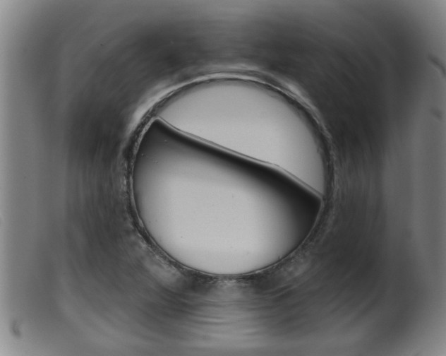 X0000099951360200805230951