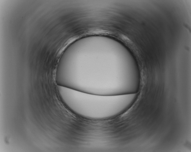 X0000099951361200805230951