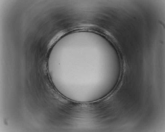 X0000099951362200805230951