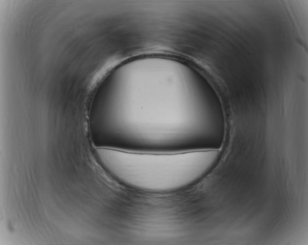 X0000099951363200805230951