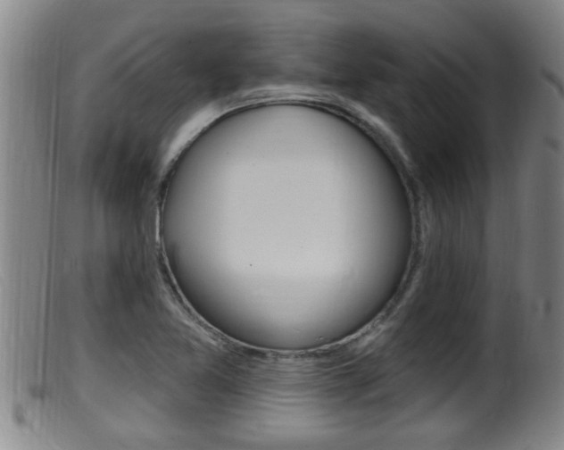 X0000099951365200805230951