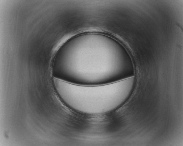 X0000099951367200805230951