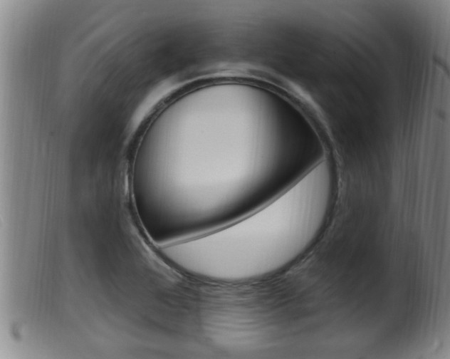 X0000099951368200805230951