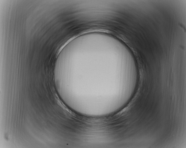 X0000099951369200805230951