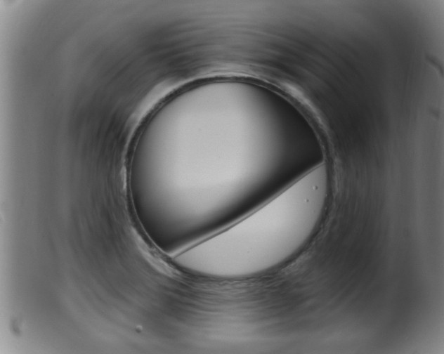 X0000099951372200805230951
