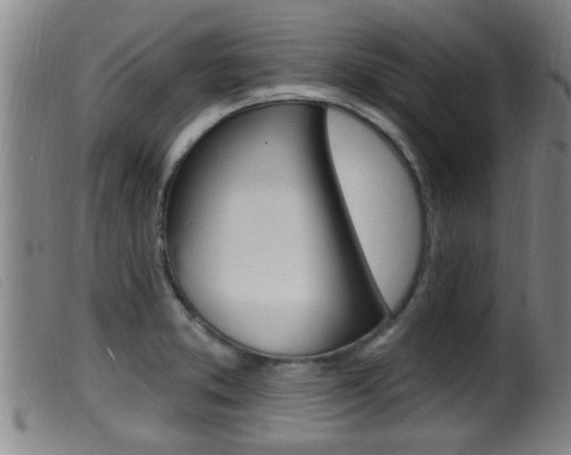 X0000099951373200805230951