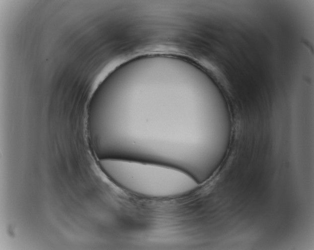 X0000099951374200805230951