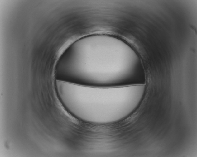 X0000099951375200805230951