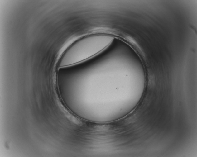 X0000099951376200805230951