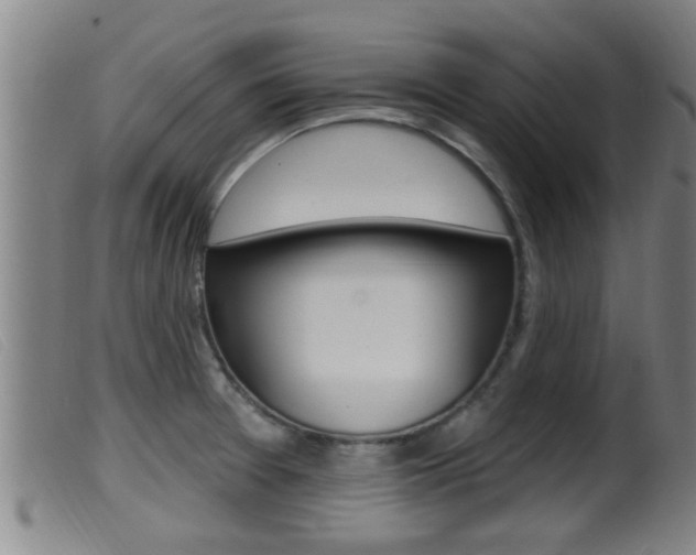X0000099951377200805230951
