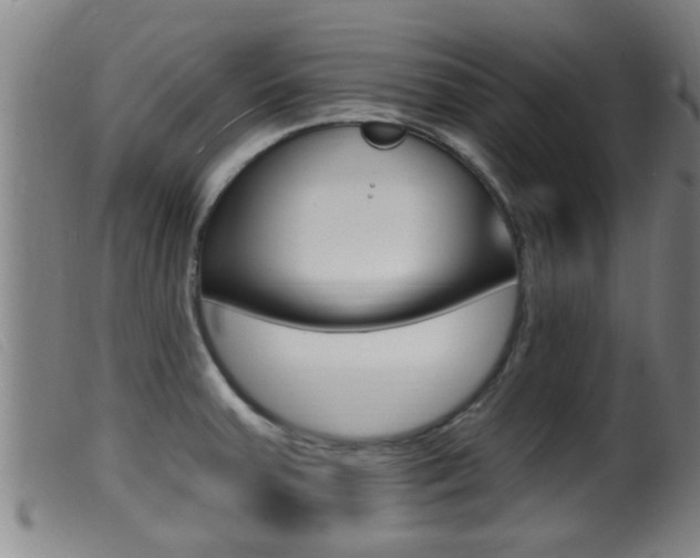 X0000099951379200805230951