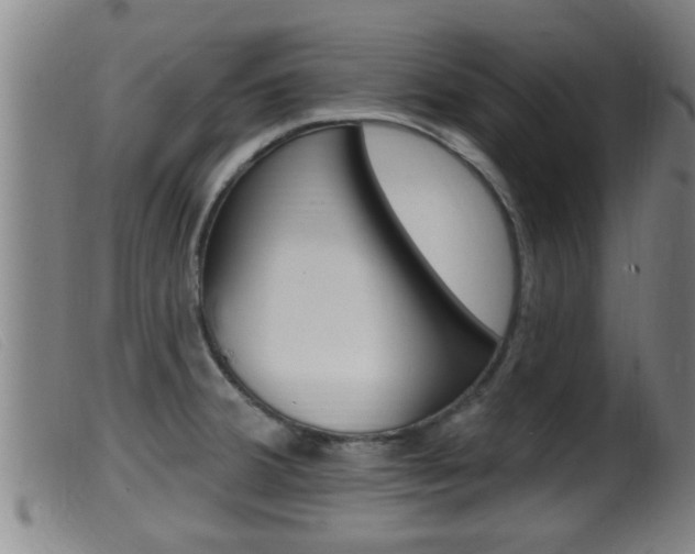 X0000099951380200805230951