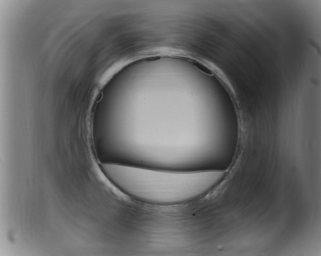 X0000099951381200805230951