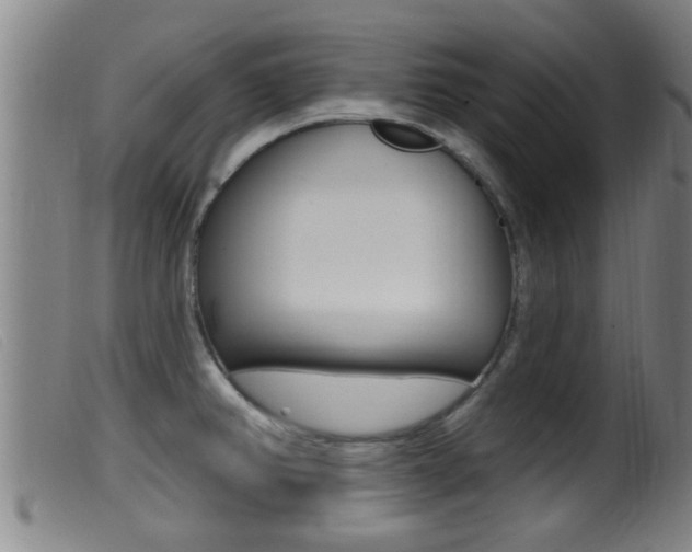 X0000099951382200805230951