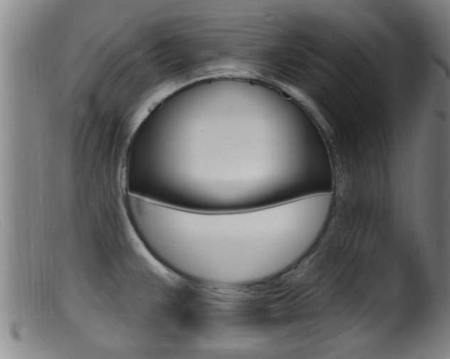 X0000099951383200805230951