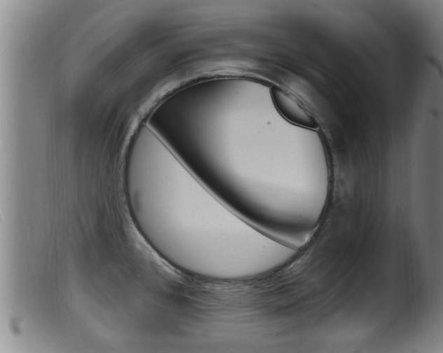 X0000099951384200805230951