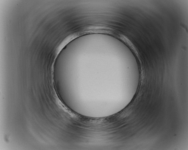 X0000099951386200805230951