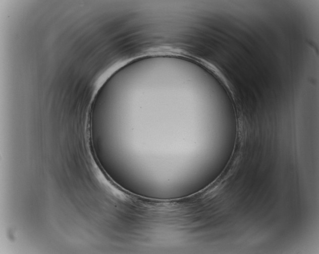X0000099951387200805230951