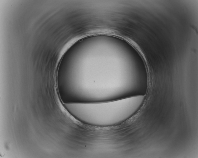 X0000099951389200805230951