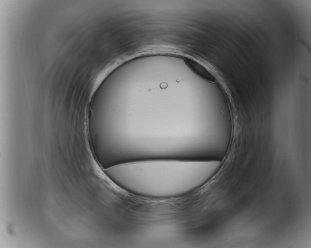 X0000099951390200805230951