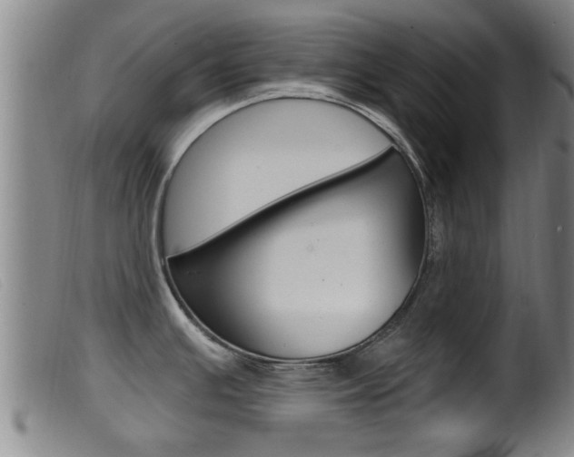 X0000099951391200805230951