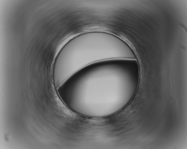 X0000099951392200805230951