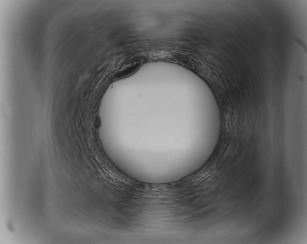 X0000099951393200805230950