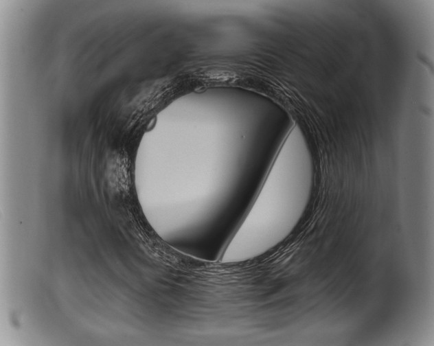 X0000099951394200805230950