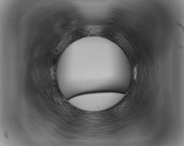 X0000099951395200805230950