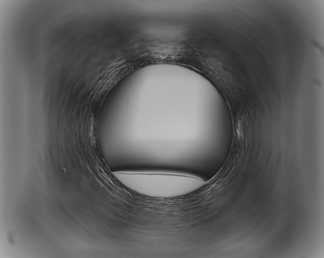 X0000099951396200805230950