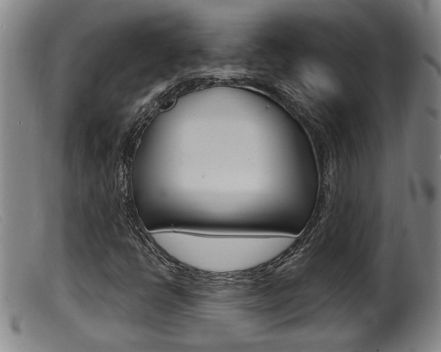 X0000099951398200805230950