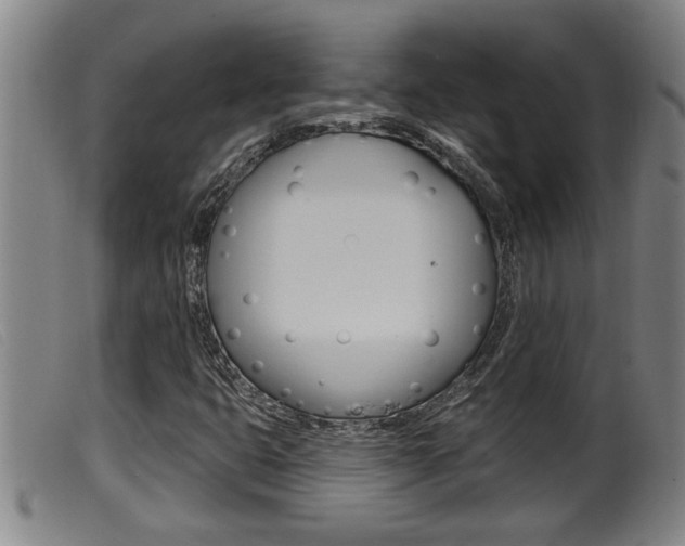 X0000099951399200805230950