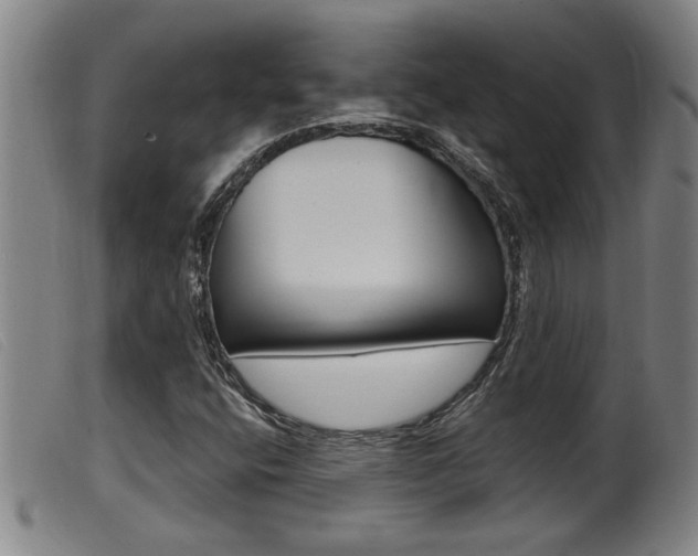X0000099951400200805230950