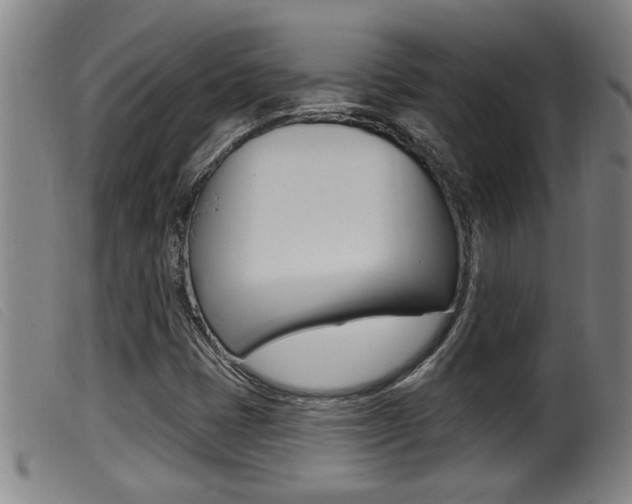 X0000099951401200805230950